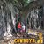 Kimber West Fessler's profile image
