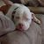 Jolene Vander Ploeg's profile image
