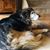 Marlee Kaczmarek's profile image
