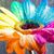 Brenda Riley's profile image