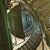 Deb Jacoba Dimmitt's profile image