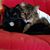 Cathy Selig's profile image