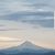 Rhonda Danielson's profile image