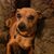 Brigi Fish's profile image