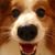 Kathy Fridge's profile image