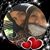 Marcela Morgado's profile image