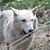 Mark Kessler's profile image