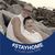 Carol Paquette Mathieson's profile image