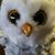 Hythir Whittaker's profile image