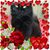 Sonja Peterson Folger's profile image
