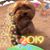 Jody Turner's profile image
