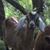 Vickie Leach Prater's profile image