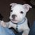 Janie Marie Dutton's profile image