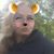 April Wood's profile image