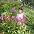 Helen Hughes's profile image