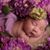 Sandra Gonzalez's profile image