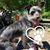 Jen Phillips Weckstein's profile image