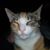 Leonard Davanon's profile image