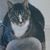 John Evers's profile image