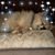 Kim L. Levasseur's profile image