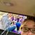Andrea Bliss's profile image