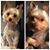 Susan Fulmer's profile image