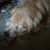 Barbara Barrows's profile image