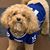 Sharon D'Alessandro's profile image