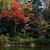 Teri Dickinson Kritz's profile image