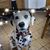Debbie Gotsch's profile image