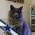 Kyla M Gaona's profile image