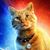 Dan Bjugstad's profile image