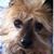 Roy Colston's profile image