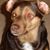 Jason Bilow's profile image