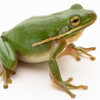 Robert B.'s profile image