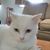 Marquetta Nowak's profile image