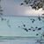 Julie Sutfin-Hanlon's profile image