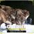 Tim Goslin's profile image