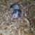 Christina Byers's profile image