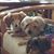 Melanie Wallerick-Roberts's profile image