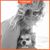 Sharie Huggins's profile image