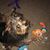 Tonya Kain's profile image