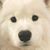 Janet Dickens's profile image