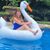 Liza Anderson's profile image