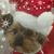 Traci Hagar's profile image