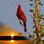 Esther Gaudette's profile image