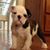 Karen Grant's profile image