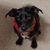 Jo Ann Bielinski's profile image