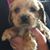 Tirah VanZile's profile image