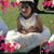 Jose Loya's profile image